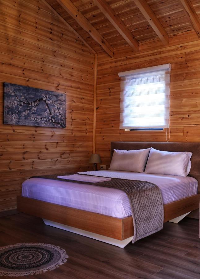 Bujtina Siar Hotell Pogradec Eksteriør bilde